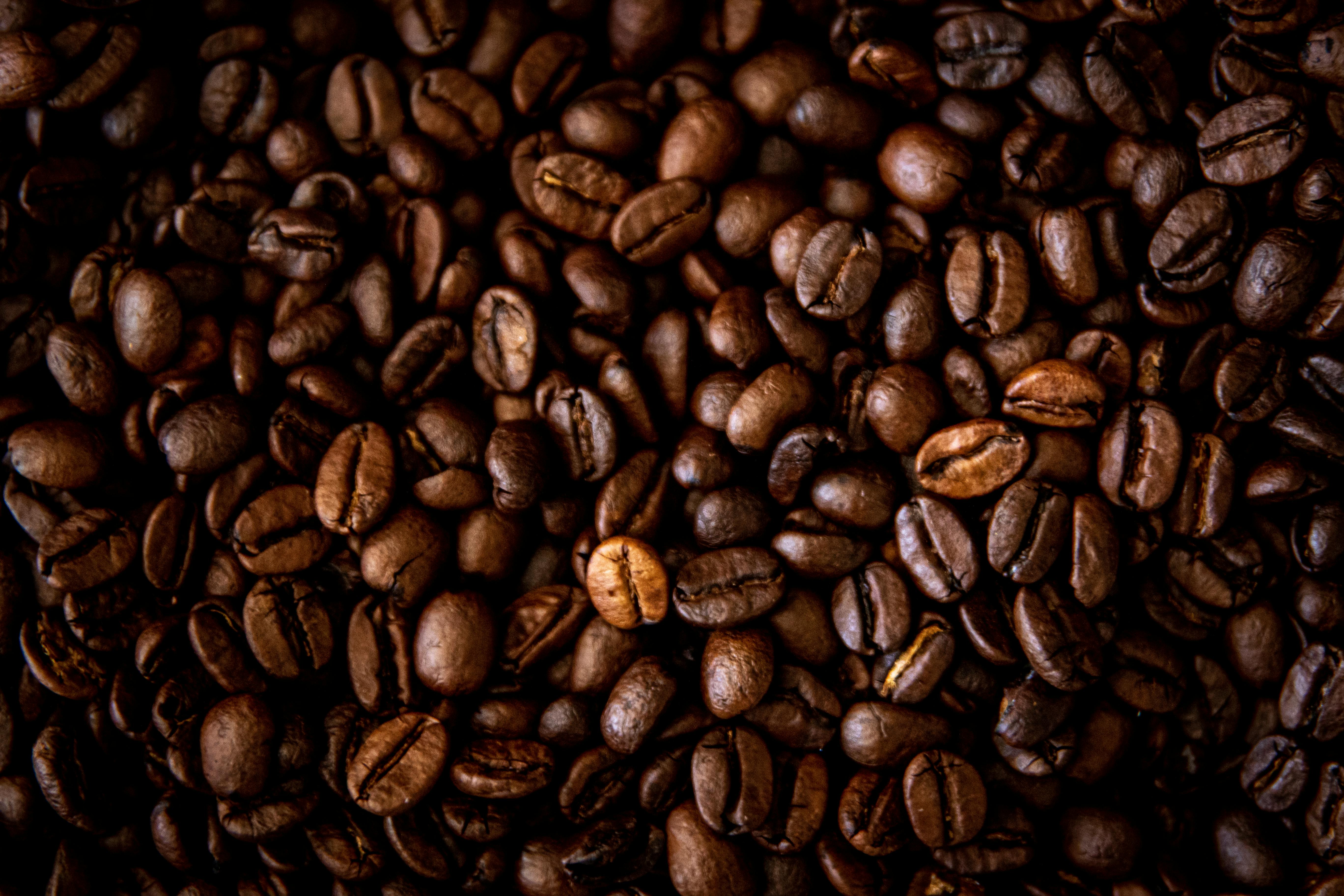 Roasted coffee beans